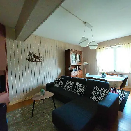 Sur Les Berges De La Moselotte, Proche La Bresse Appartement